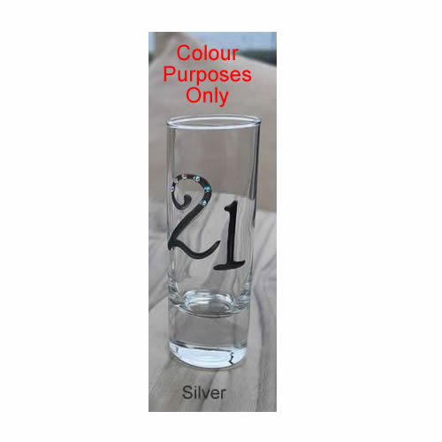 Birthday Shot Glass Colours  Silver