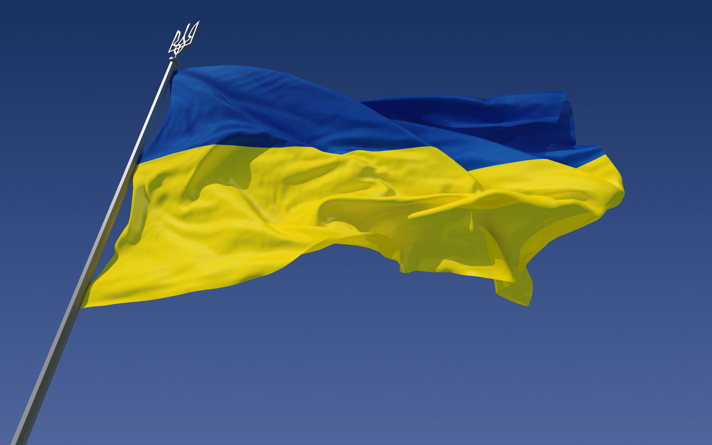 UKRAINE STANDING UP FOR DEMOCRACY