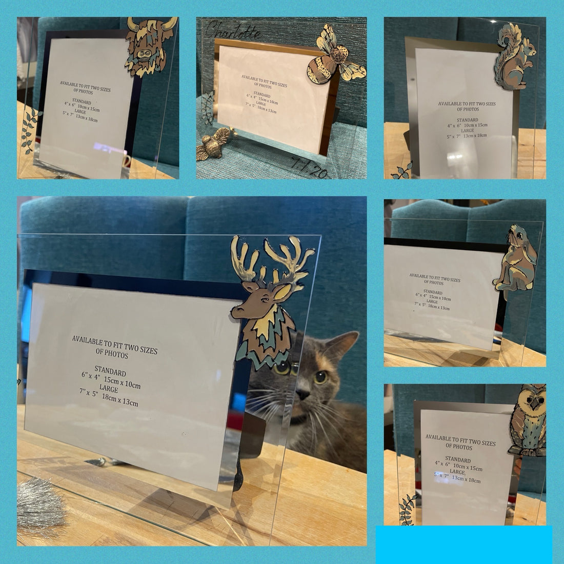 NEW! NEW! NEW! WILDLIFE PICTURE FRAMES