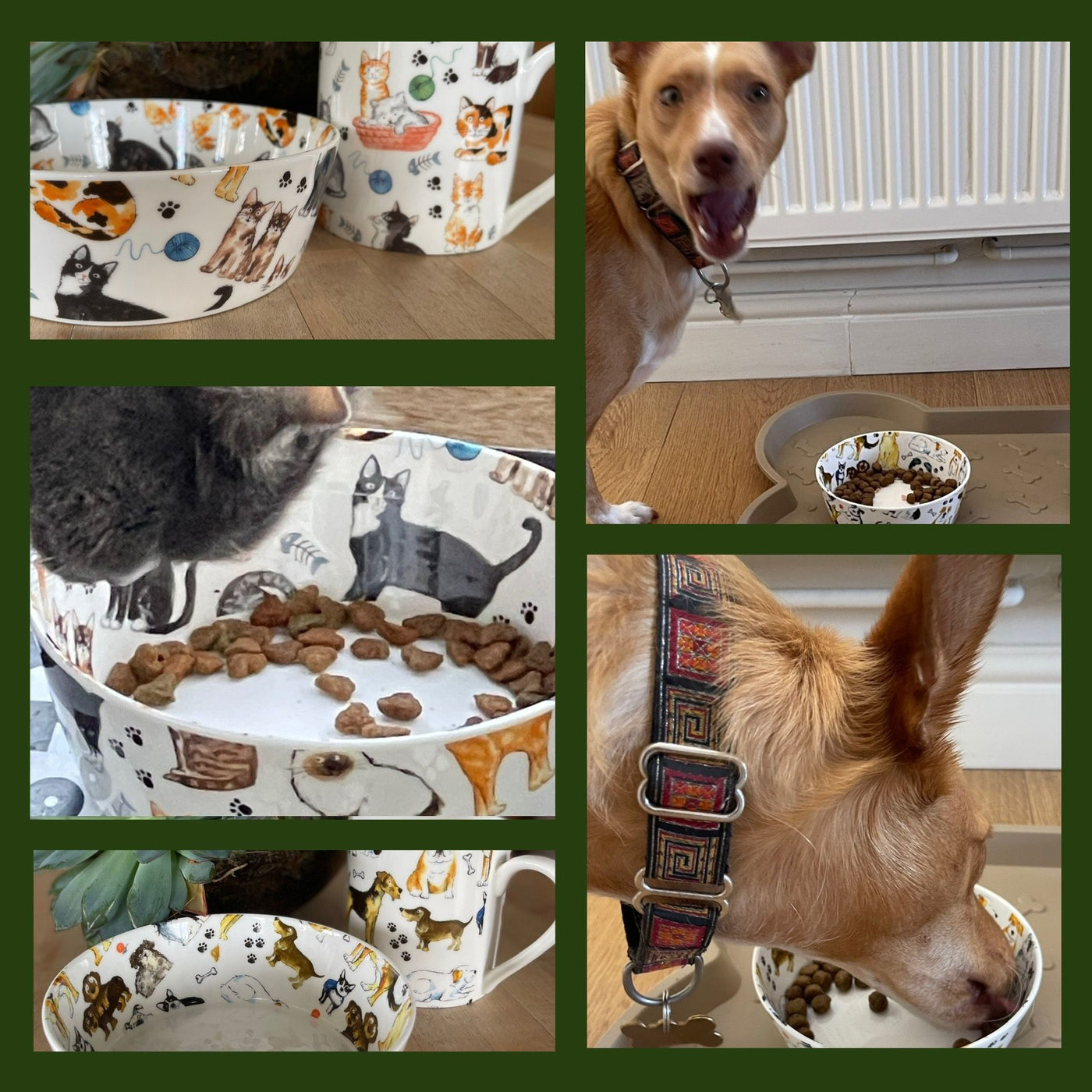 Fine Bone China Mugs and Pet Bowls