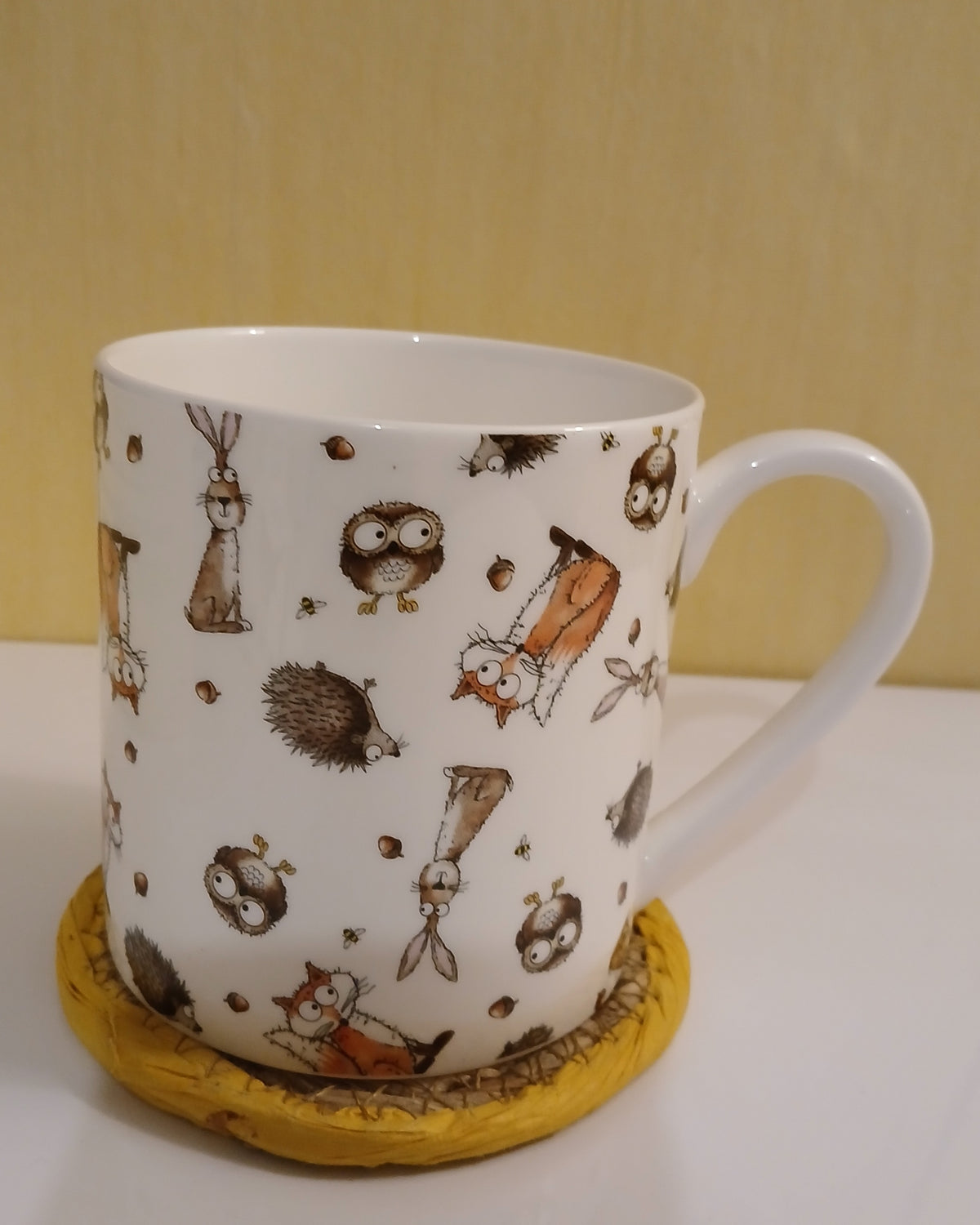 1 Pint Fine Bone China Woodland Creatures Mug