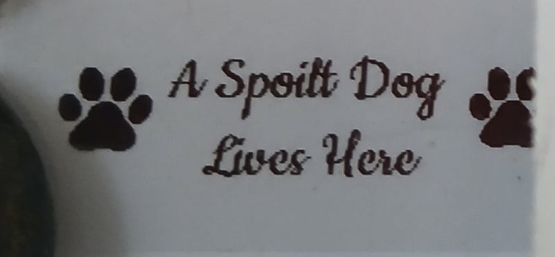 Pet Pebble Art Dog/Cat