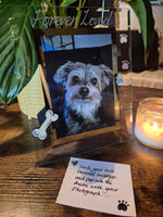 Hand Painted Forever Loved Pet Memorial Dog Bone & Paws Photo Frame Portrait 2 sizes