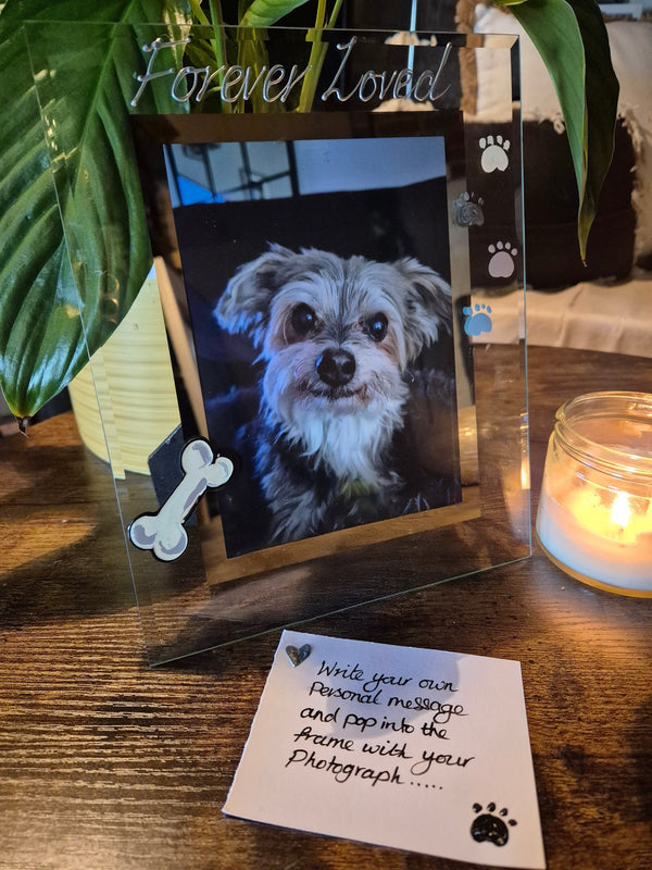 Hand Painted Forever Loved Pet Memorial Dog Bone & Paws Photo Frame Portrait 2 sizes