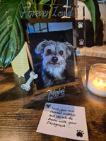 Hand Painted Forever Loved Pet Memorial Dog Bone & Paws Photo Frame Portrait 2 sizes
