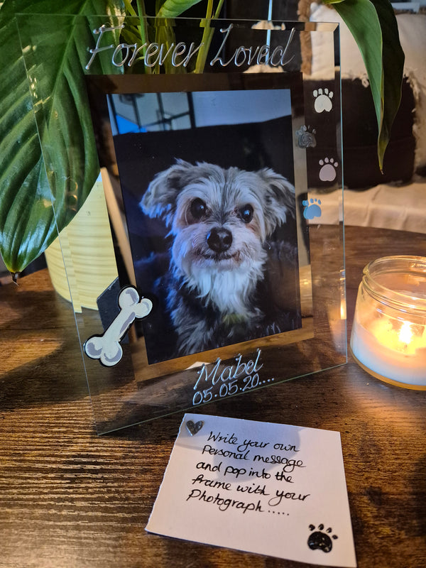Hand Painted Forever Loved Pet Memorial Dog Bone & Paws Photo Frame Portrait 2 sizes