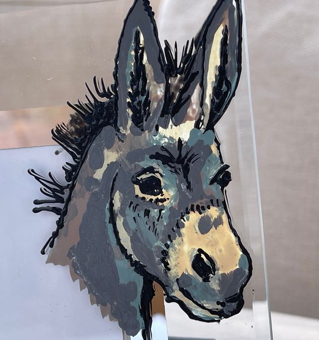 Close Up Of Donkey