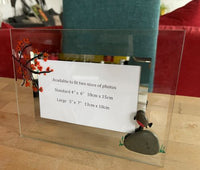 In Memory Robin Gift Photo Frame Landscape