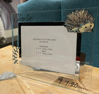 Hedgehog Photo Frame Landscape