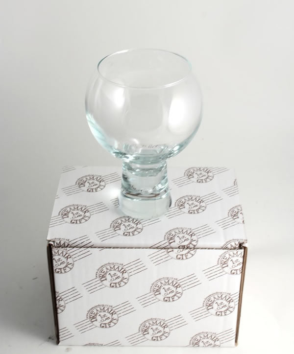Snowdrop Flower  Hand Painted Gin and Tonic Glass