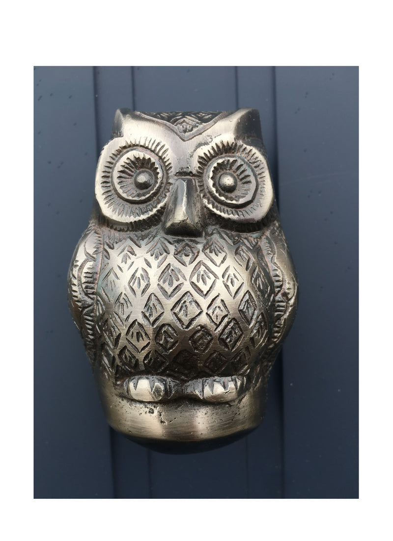 Baby Owl Door Knocker Gunmetal Silver