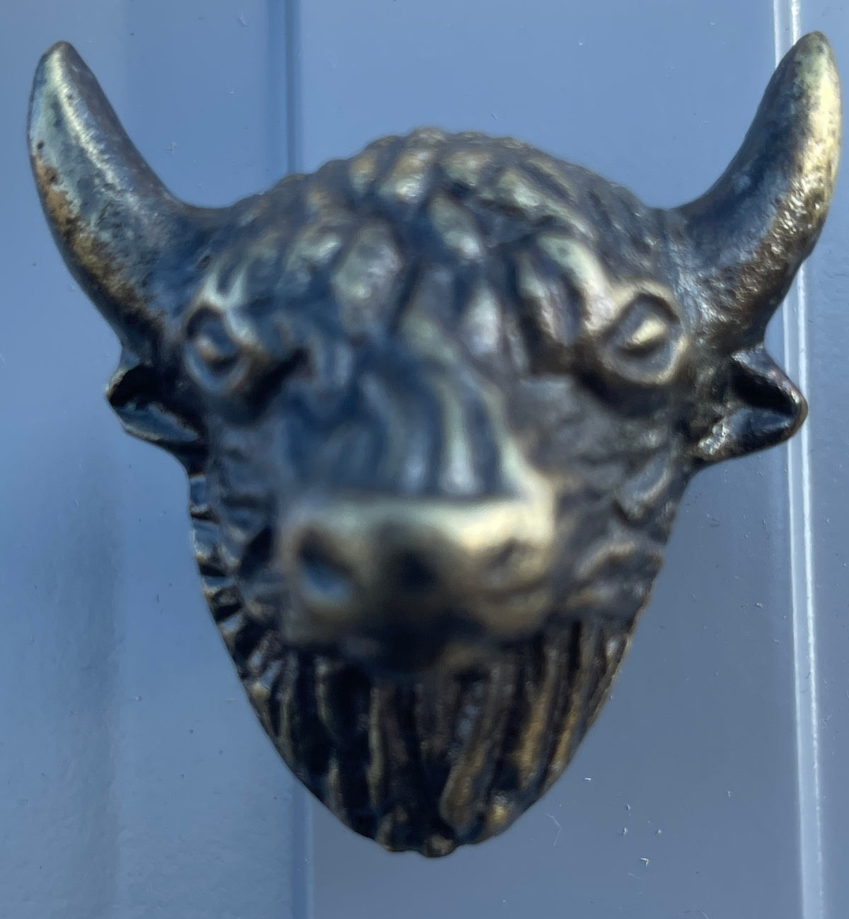 Highland Cow Door  and Drawer Knobs 